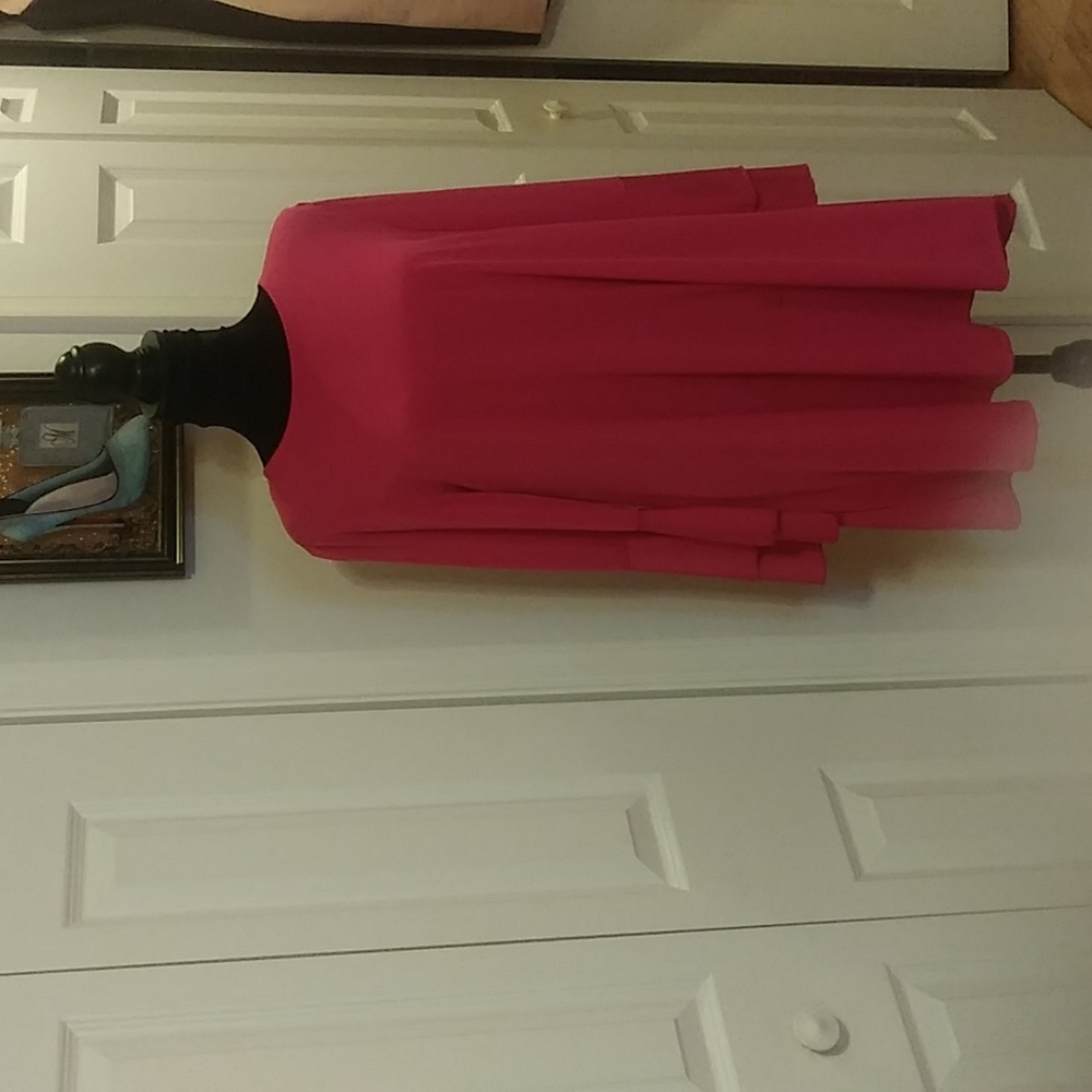 Women Pink Flare Dress